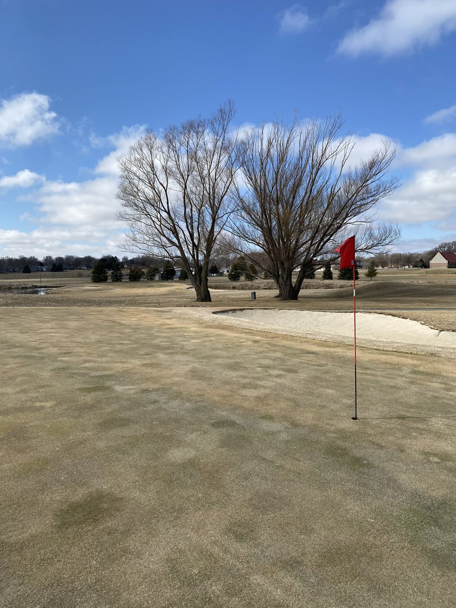 Landsmeer Golf Club tweet media