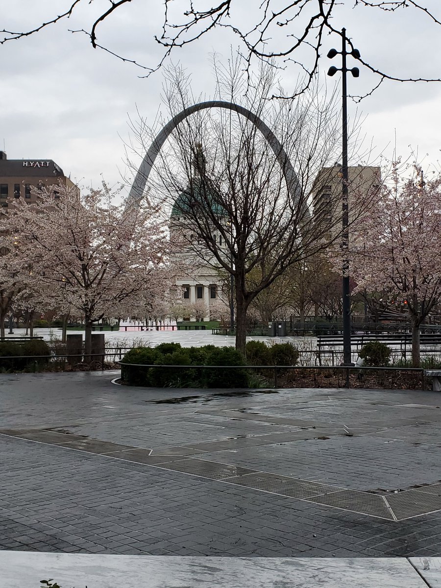 SRCDtweets's tweet photo. Thank you to everyone for attending #LearnPlay22 in St. Louis, Missouri! We would also like to thank and recognize our co-organizers @ThaliaGoldstein, Deena Weisberg, and Jacob Schatz. https://t.co/CNONbQ9oX8