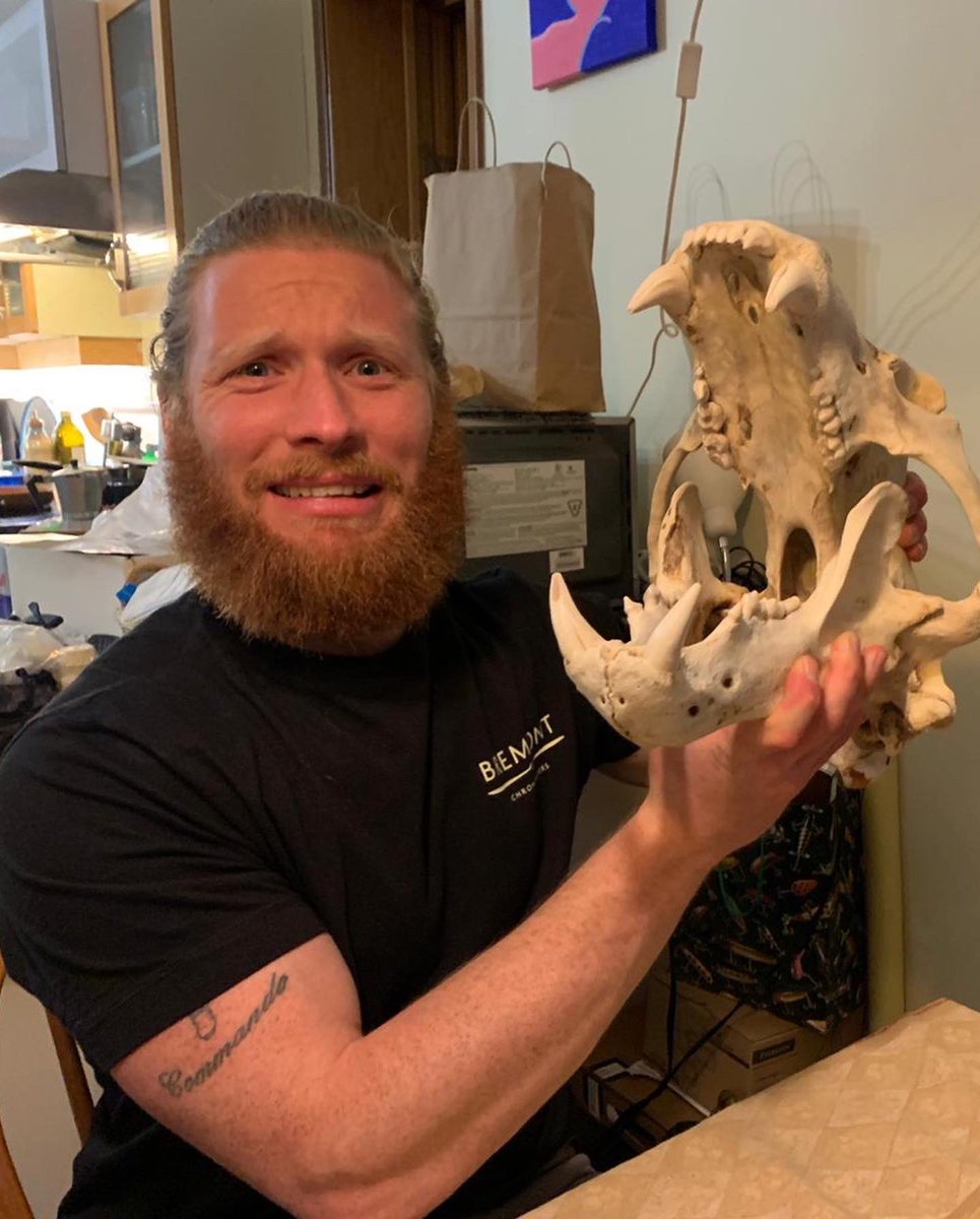 The Mad Explorers tweet media