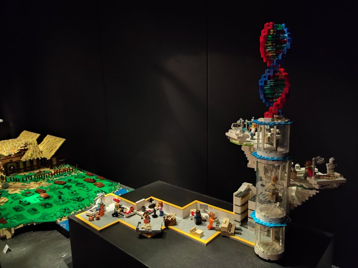 MHDLarmuseau's tweet photo. De tentoonstelling over de #Merovingen in Koksijde is geopend voor het publiek! En ons DNA-labo is er ook bij (in #Lego)! Ontdek het in het Ten Duinenmuseum. @gem_Koksijde @KU_Leuven @CHG_CME https://t.co/jrzFDOKRJu