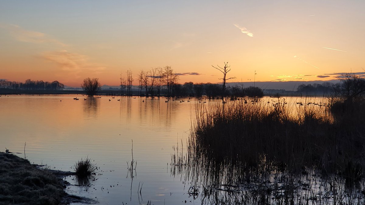 Heleenverduijn's tweet photo. Vandaag zo grijs en nat dus wat plaatjes van gisteren.
De zonsopkomst bij #Ackerdijkseplassen i.v.m. #BMPtelling @Sovon @vogelnieuws @Natuurmonument 
Met o.a. snor, fitis en een heel nieuwsgierig staartmeesje. https://t.co/1RnKztghOP