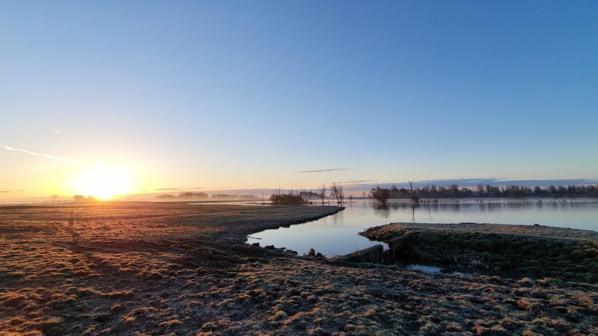 Heleenverduijn's tweet photo. Vandaag zo grijs en nat dus wat plaatjes van gisteren.
De zonsopkomst bij #Ackerdijkseplassen i.v.m. #BMPtelling @Sovon @vogelnieuws @Natuurmonument 
Met o.a. snor, fitis en een heel nieuwsgierig staartmeesje. https://t.co/1RnKztghOP
