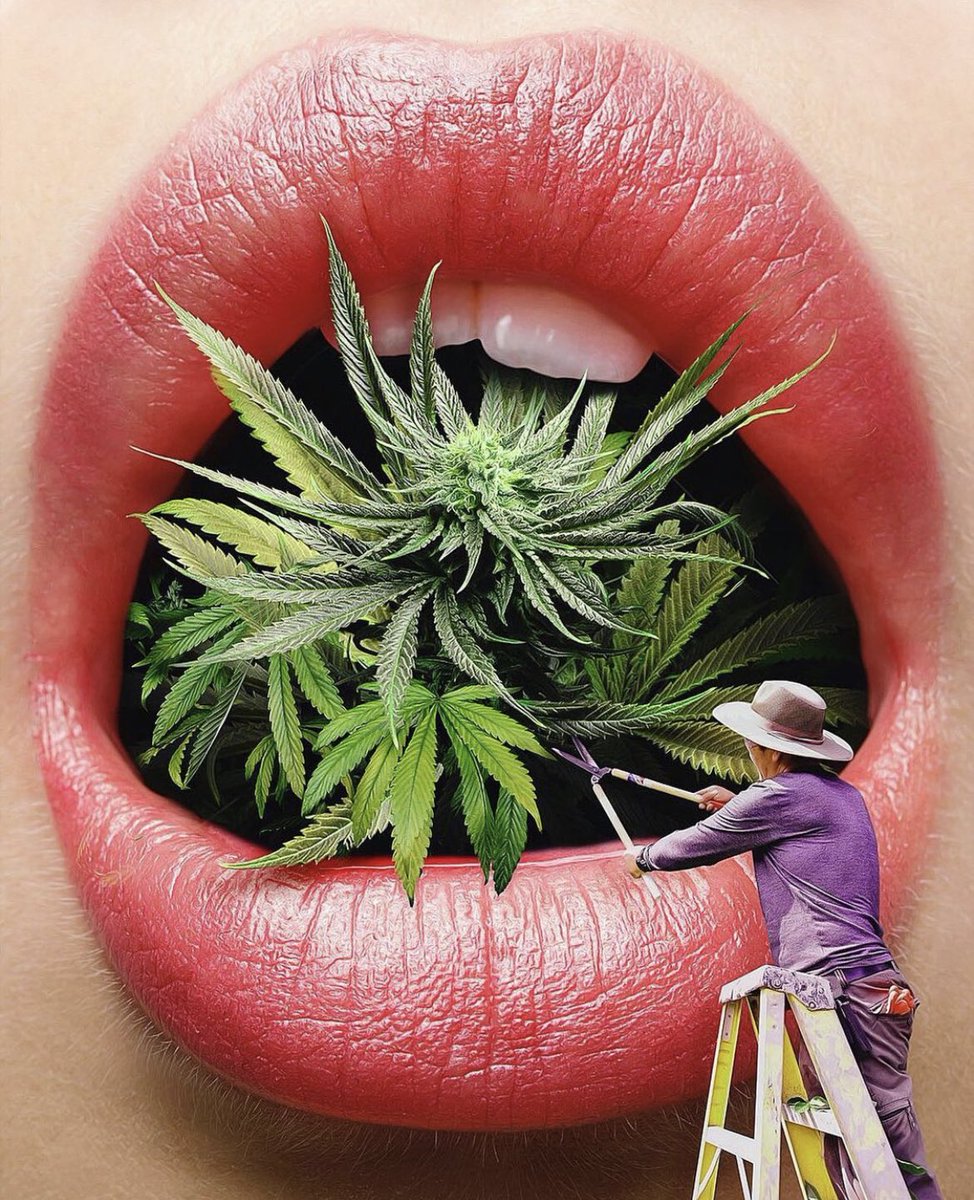 slimesunday tweet media