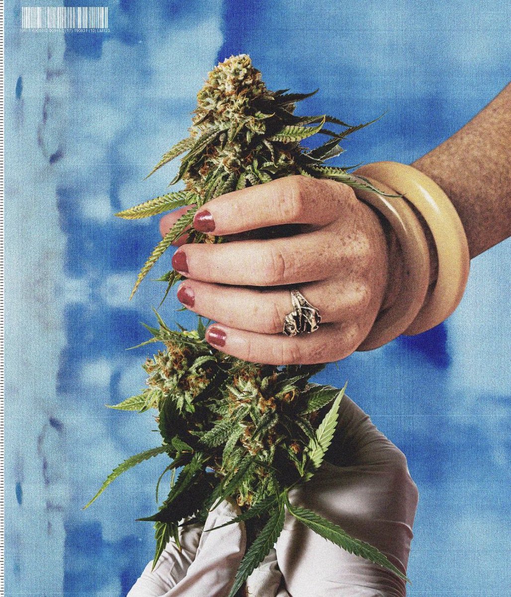 slimesunday tweet media