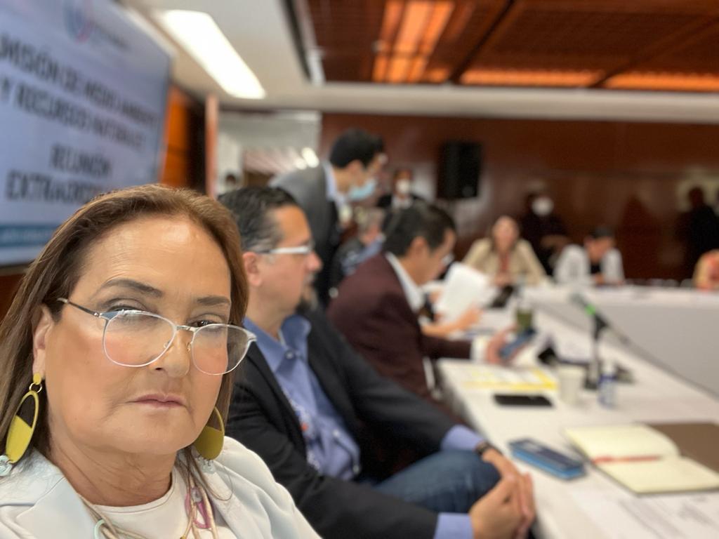 PatyArmendariz's tweet photo. Momento histórico donde en la comisión de medio ambiente acabamos de votar en sentido positivo la #ReformaElectrica desde el punto de vista del #medioambiente, con 17 votos a favor con 14 en contra y 0 abstenciones. https://t.co/fc42UsIpd1
