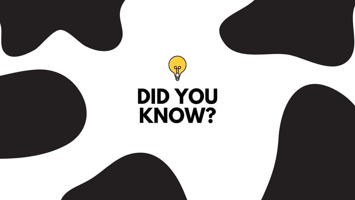 CPiP is a community coalition where we believe better ideas and outcomes can be achieved when we work together. This means we need YOU! Message us to find out how you can help prevent substance use in Rockwood and ensure that our youth reach their potential.