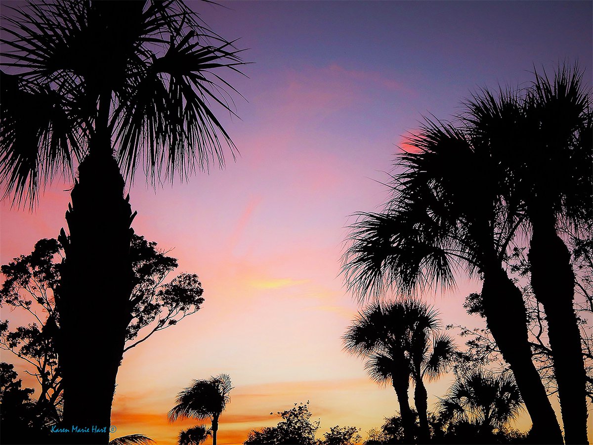 KarenMarieHart's tweet photo. Light and Love from Florida for You. 😌🏝️💞#everythingisgoingtobeokay #smile 🦋#YouAreLovedBeyondMeasure 💫💛 https://t.co/98FO1lYZnm