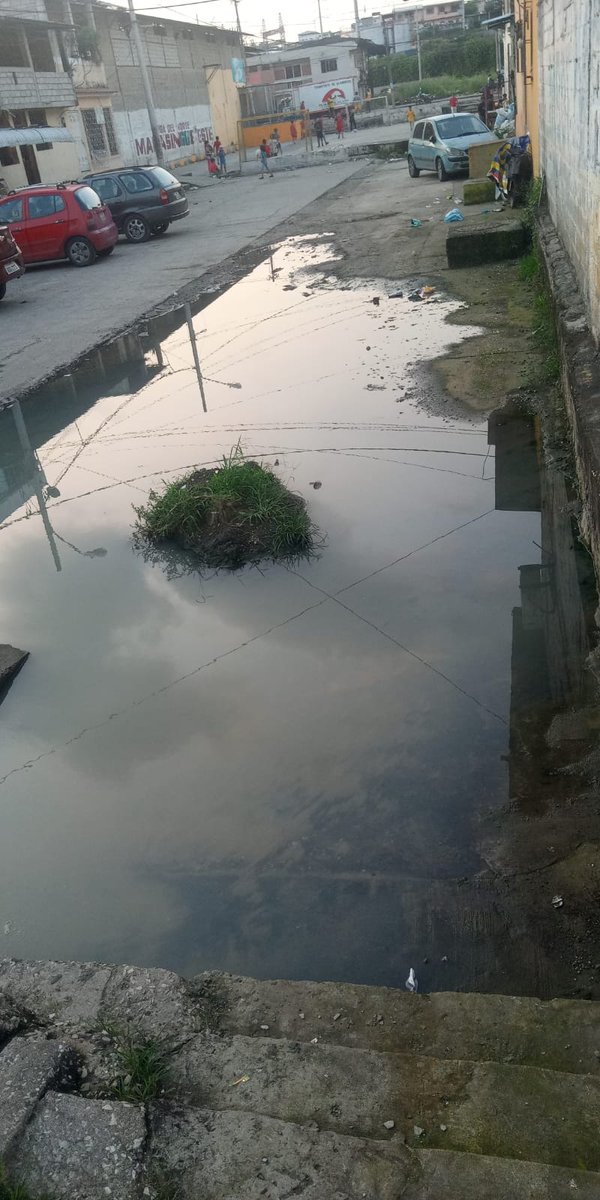 karendres's tweet photo. @alcaldiagye @CynthiaViteri6 @interagua @Cupsfire_gye  buenos días quiero reportar agua de alcantarilla en la calle emposada el olor es muy desagradable ya lleva varios meses así y no dan solución nada ni limpieza ni nada en mapasingue este calle 4ta y avenida 38D https://t.co/YWiPhyCZXx