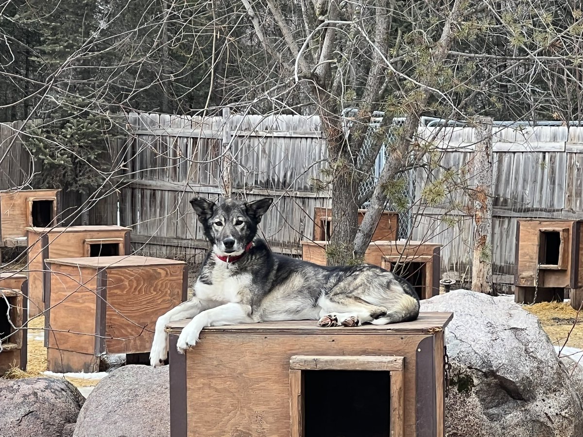 HwayJake's tweet photo. @RyanVanLoan @BlairBraverman https://t.co/nwVqyrtJet