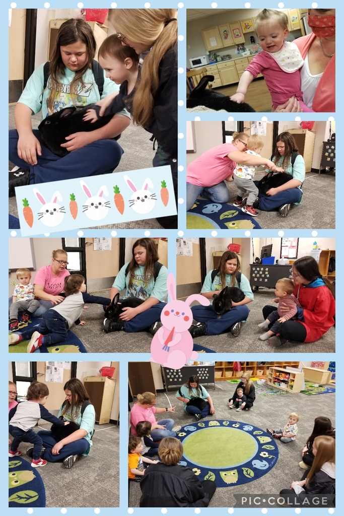 PCHSDragons's tweet photo. What a fun morning the Little Dragons have had! A big thanks to the Fouts family for bringing in Emberly to show the children! We love when the Ag Club students come to visit and bring new friends!! #DragonPride #ECERocks https://t.co/jBhSaJR0FL
