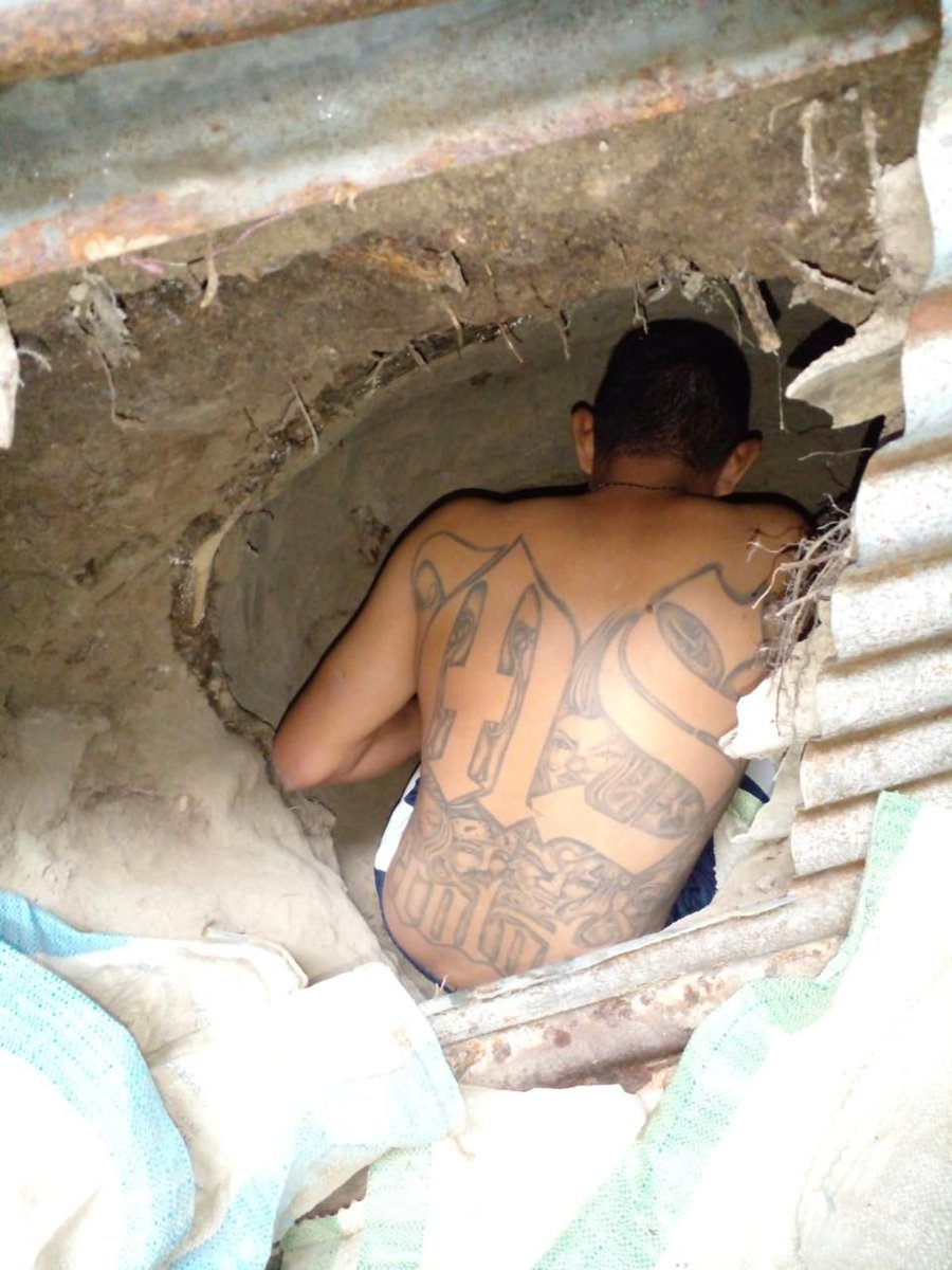 PNCSV's tweet photo. Por el miedo a ser capturado, Edgar Antonio Sigüenza, alias soldado, hizo una cueva para esconderse, en Valle Las Delicias, San Martín.

Fue localizado y capturado por nuestros agentes y en las próximas horas será enviado a un penal, donde pasará los próximos 20 años. https://t.co/bj5aBTLdu2