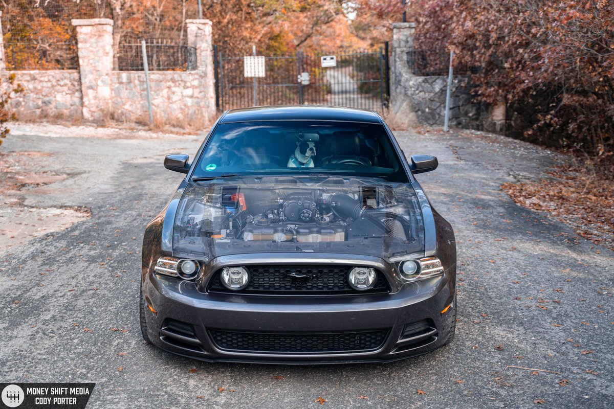 here is a picture of my car and my dog, for your enjoyment. im gonna start posting my photography pictures on here too until i use <a href="/MoneyShiftMedia/">Money Shift Media</a>