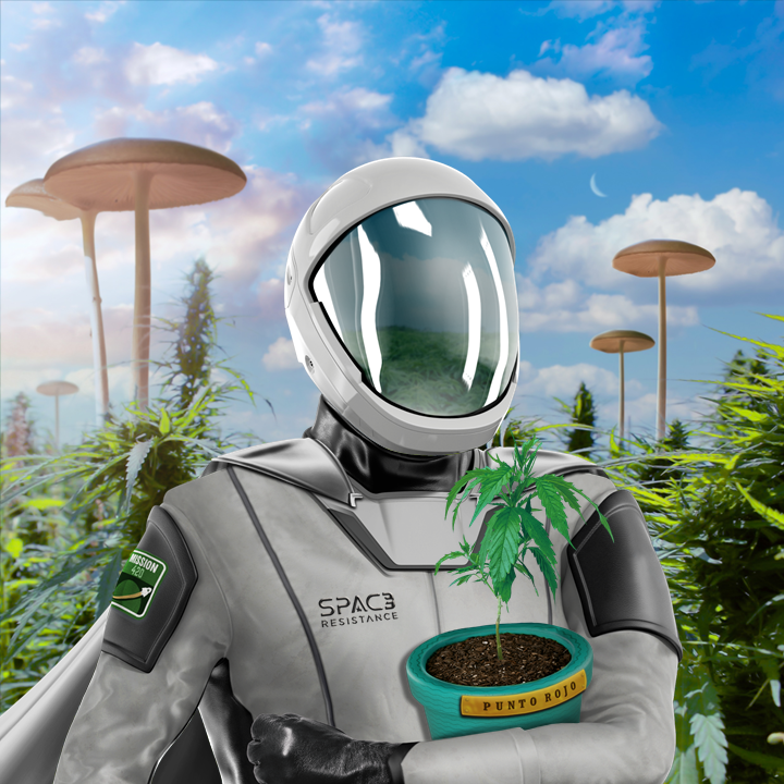 SpaceResist_NFT's tweet photo. This journey is about to BEGIN 🚀

Are you ready?😊 https://t.co/JwYrEvNJg0