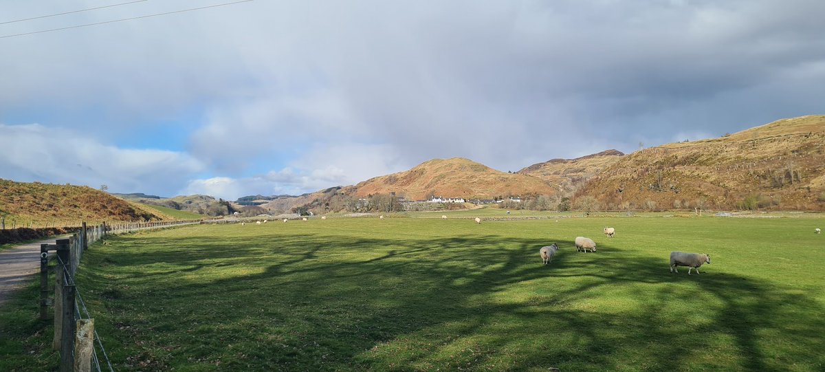 kilmartinmuseum's tweet photo. ➡️WE ARE RECRUITING!⬅️

Fancy working here with this lovely bunch? 

We have an exciting opportunity for a Director at our Museum set within the archaeologically important #KilmartinGlen at Kilmartin in #Argyll! 

For more information and to apply, visit https://t.co/tWt8xly4z2. https://t.co/nAfjTNgWnK
