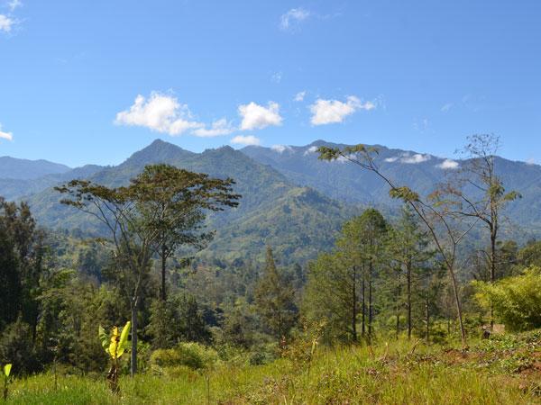 DevTelecoms's tweet photo. Could PNG tax demand affect Telstra’s Digicel deal? #AsiaPacific #PapuaNewGuinea #Tax #Samoa #Fiji #Nauru #Telstra #Vanuatu #Tonga #DigicelPacific https://t.co/9JOViZZ203 https://t.co/9g2mspLTWa