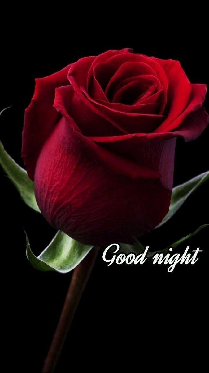 Rajeshaaaj's tweet photo. Are social media friends
Real friends!!
With whom we probably shares
Informations
Ideas
Stories
Emotions.....so on
But this all takes place digitally
Rather than in person🙏
Let’s find the answer 🙏🙏
#hiddenpersonality
Good night friends 🌙💫⭐️ https://t.co/jblPu0Cz7N