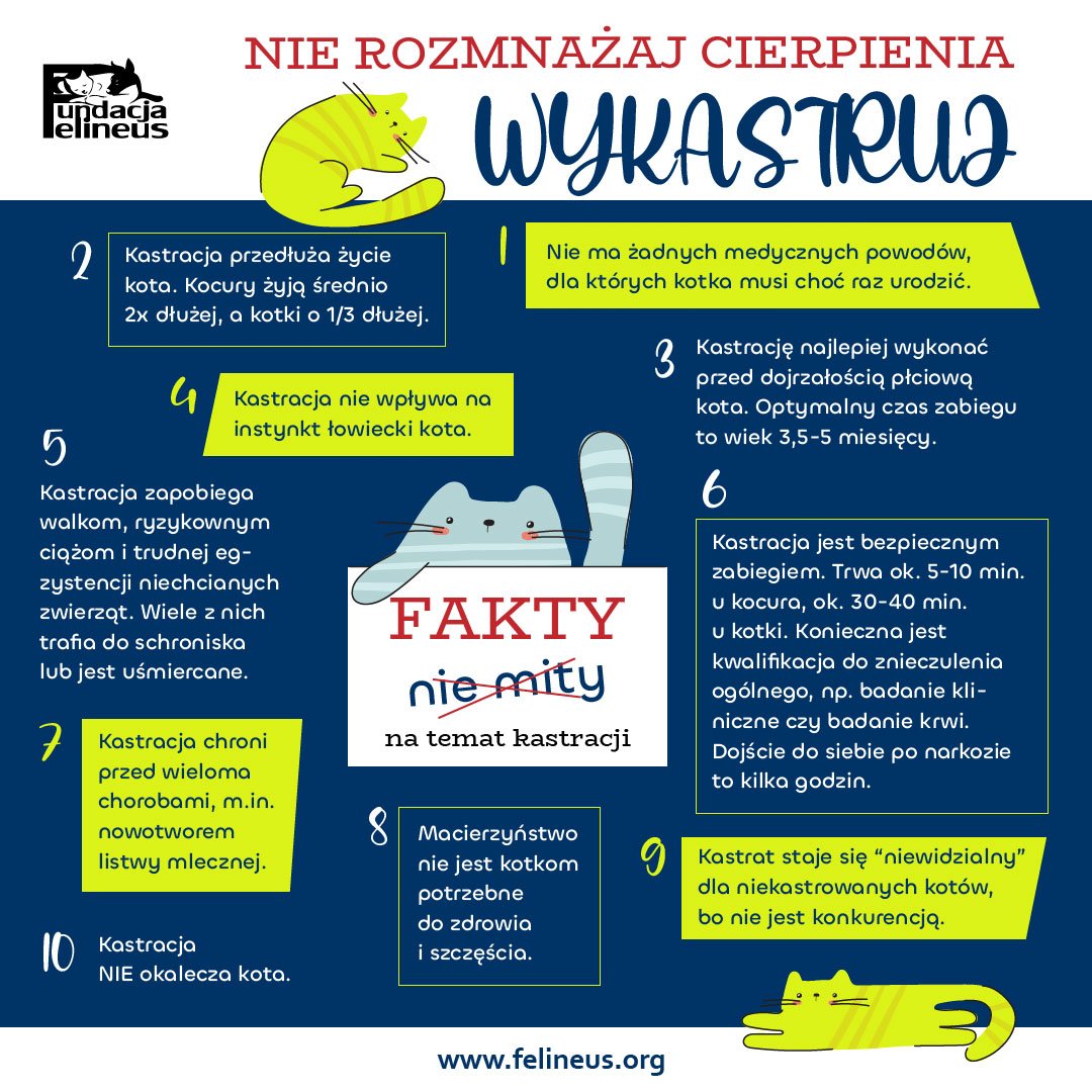 Stawiamy na FAKTY nie mity!

Kastracja - to jedyna skuteczna i humanitarna metoda walki z bezdomnością!

Nie pozwól by tuż obok Ciebie mnożyło się cierpienie. Uratuj! Wykastruj!

#STOPbezdomnosci #KochamKastruje #FaktyNieMity #koty #pomoz #uratuj #wykastruj #fundacjafelineus