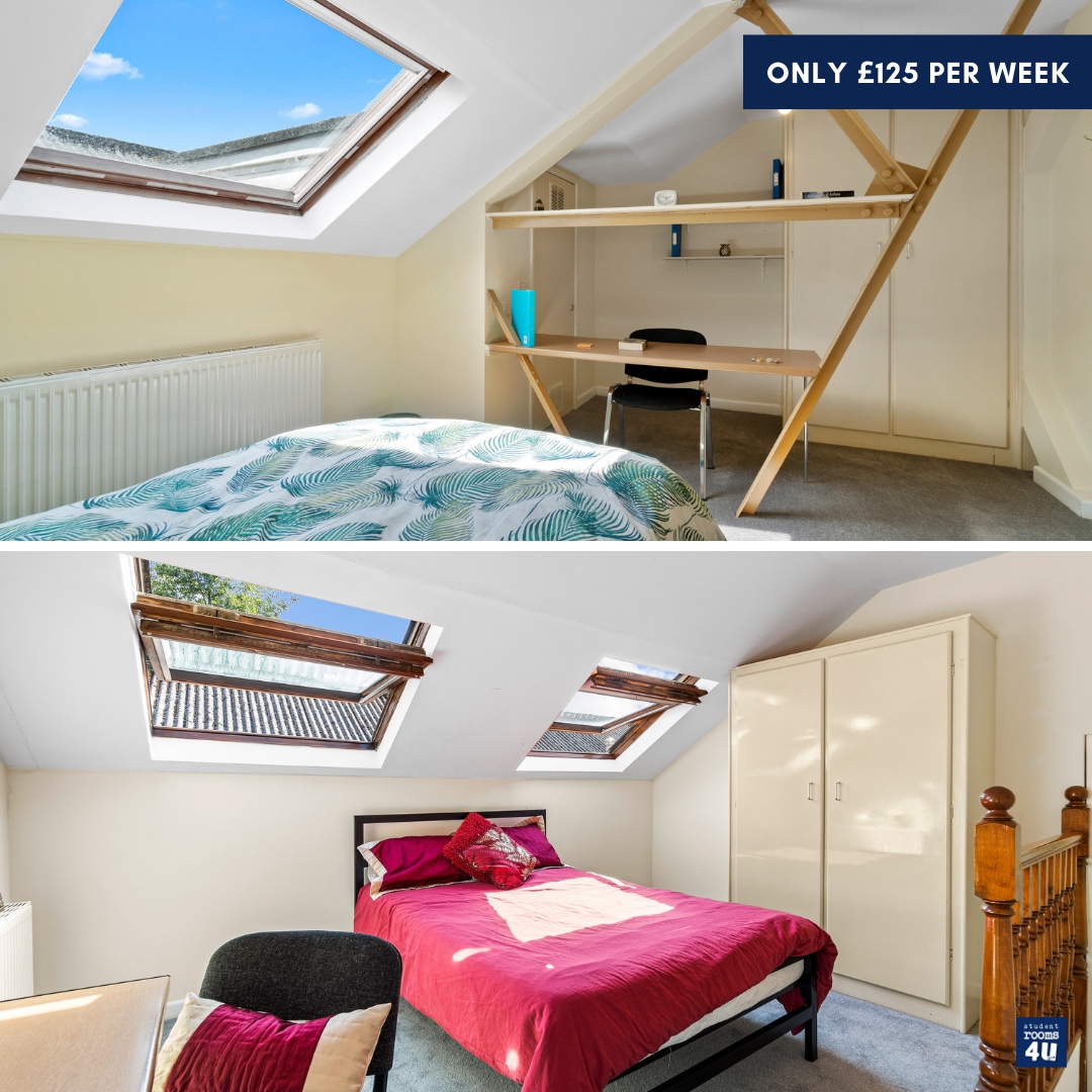 StudentRooms4U's tweet photo. Check out all the natural light in the loft rooms in Hamilton House 😍

#studentaccommodationplymouth #universityofplymouth #studentaccommodation #studentrooms4u #plymouthuniversitystudenthouses #studentliving #undergrad #student #chooseus #studenthome #nodeposit #nohassle https://t.co/3UV36yN2s0