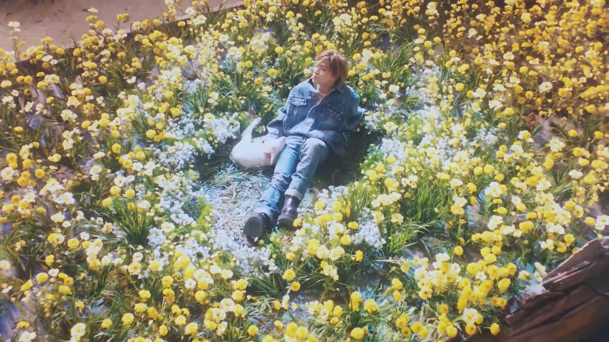 tgk_world's tweet photo. QUESTO È STATO UN COLPO AL CUORE... #BIGBANG_StillLife #BIGBANGisBACK https://t.co/PsidEwUXd6