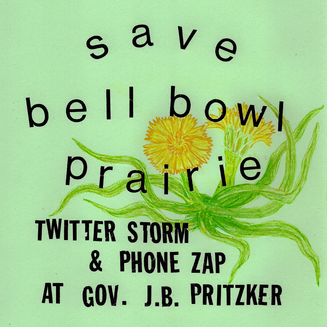 Rising Tide Chicago (@risingtidechi) on Twitter photo Join todays Twitter storm and Phone zap 📞 to tell <a href="/GovPritzker/">Governor JB Pritzker</a> <a href="/JBPritzker/">JB Pritzker</a> to do the right thing and #SaveBellBowlPrairie ! He just released an ad boasting the airport expansion with no mention of the impact it will have in destroying the 8k yr old prairie and it's inhabitants! Join todays Twitter storm and Phone zap 📞 to tell <a href="/GovPritzker/">Governor JB Pritzker</a> <a href="/JBPritzker/">JB Pritzker</a> to do the right thing and #SaveBellBowlPrairie ! He just released an ad boasting the airport expansion with no mention of the impact it will have in destroying the 8k yr old prairie and it's inhabitants!