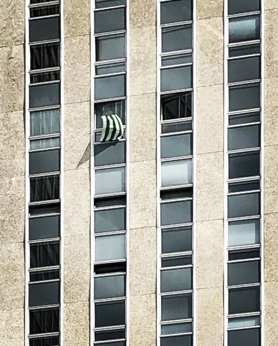 🇳🇬 Hjälp oss gärna att sprida ut att vi vill ha så mycket halsdukar och flaggor som möjligt synliga på Söder och i Söderförort i morgon, tisdag. Hjälp oss gärna genom att dela detta inlägg!
#bajen #hammarby #grönalinjen #bajenland