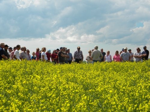 Attend in-person and digital events FREE all year! An Agronomy Smarts Subscription pays itself off and saves you money with a year's worth of events! Buy an Agronomy Smarts subscription today &amp; join us at the best events for agronomy and innovation! bit.ly/3twoeab