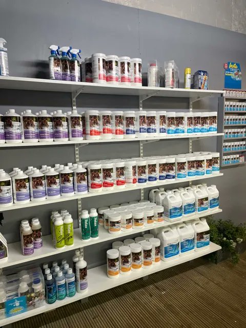 Hot Tub World tweet media