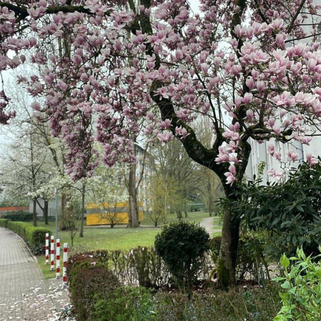 Osinski Laurinda (@laurindaosinski) on Twitter photo 