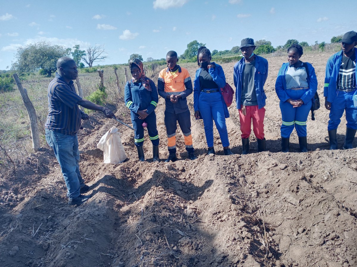 FAOMozambique's tweet photo. Students from the Agrarian Institute of Chókwe, in Gaza Province learn to set up seed multiplication fields🌱🌱🌱 through the #ProAct project in collaboration with the Agrarian Research Institute in 🇲🇿. Thanks to 🇪🇺 funding. #Mozambique #FAO https://t.co/LRITkkgMbX