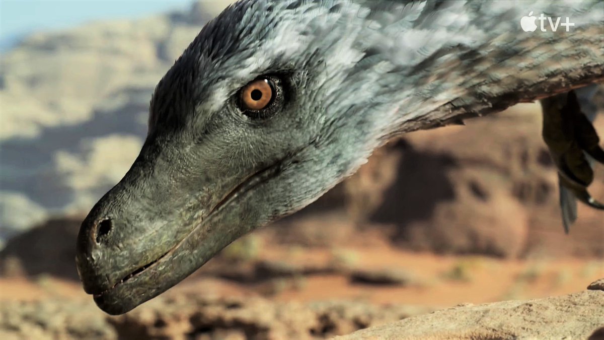 🦕🇻🇪 PalaeoGeek 🇵🇸🇱🇧🇺🇦🌿 tweet media