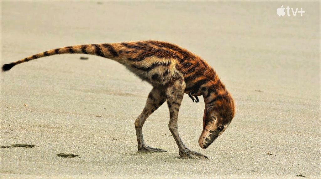 🦕🇻🇪 PalaeoGeek 🇵🇸🇱🇧🇺🇦🌿 tweet media