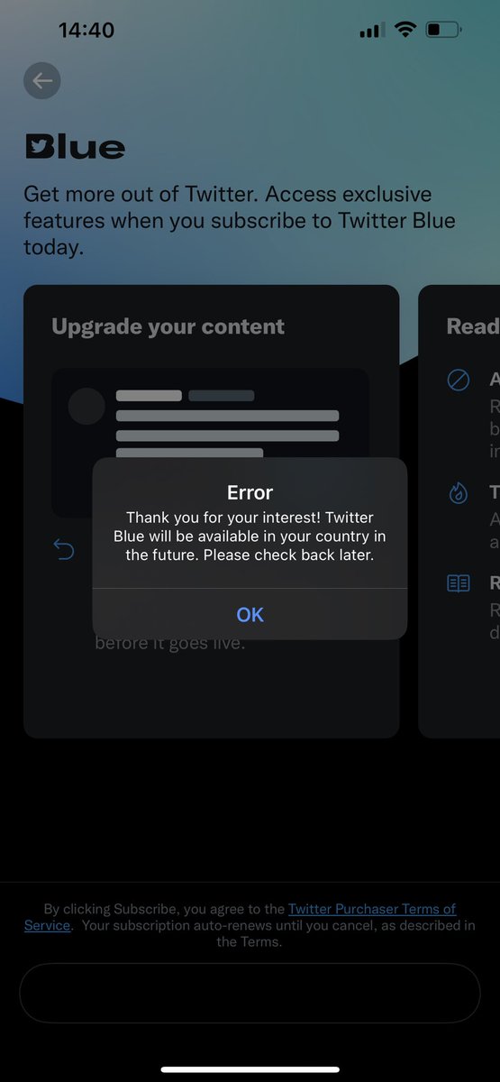 Tinybear tweet media