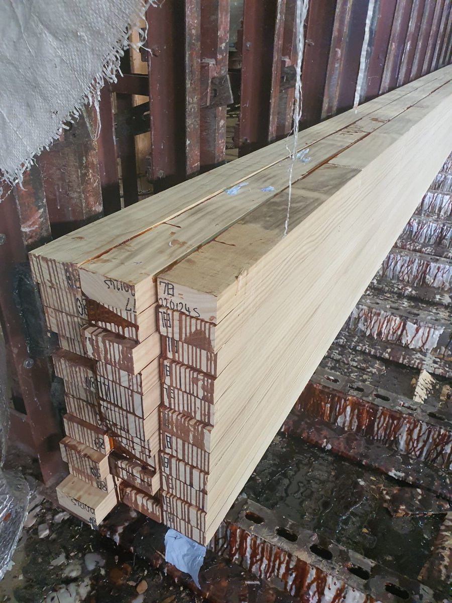 BucklandTimber's tweet photo. This week we've been working with accoya - you can see here block gluing of accoya glulam in progress.

Accoya is in fact NOT a tree species, rather it starts life as pine, but is later modified to strengthen it.

#glulamstructure #glulamconstruction #glulambuild https://t.co/So7jF5lPuB