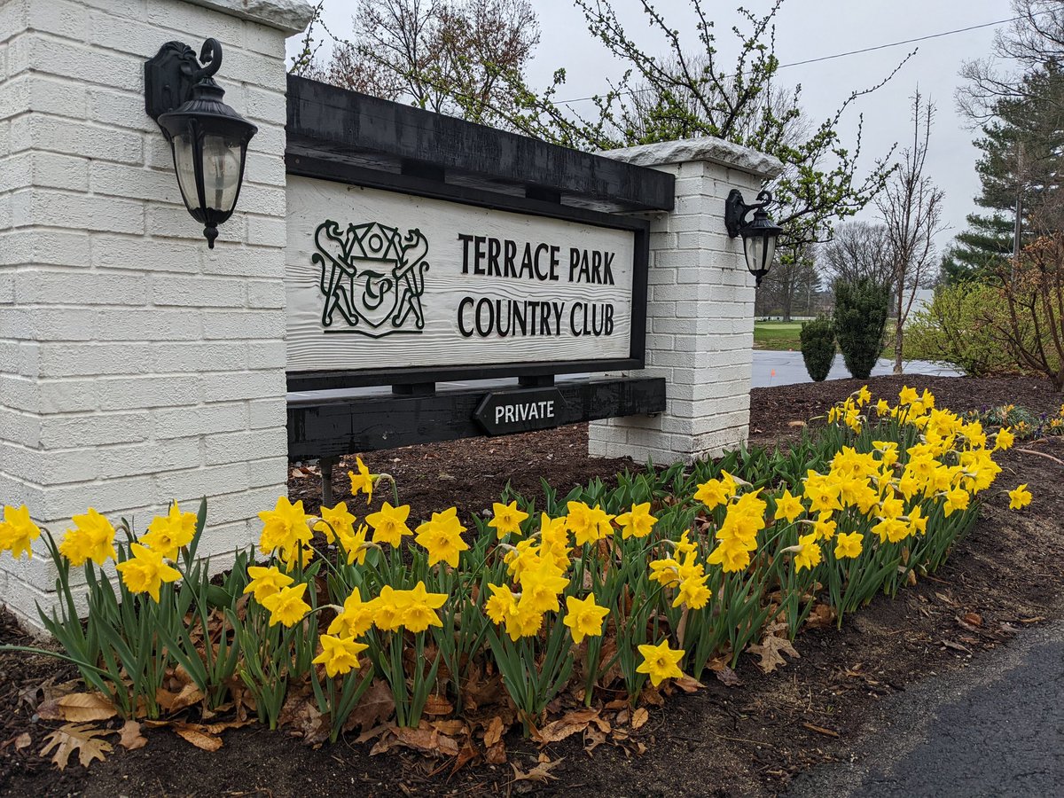 TPCCHort's tweet photo. Act II is opening for the spring bulbs! Crocuses have given way to daffodils at the entrance, and tulips are starting to show above the hyacinths at the clubhouse. I can't wait for #TulipTime! https://t.co/ywBD1mYJ4D