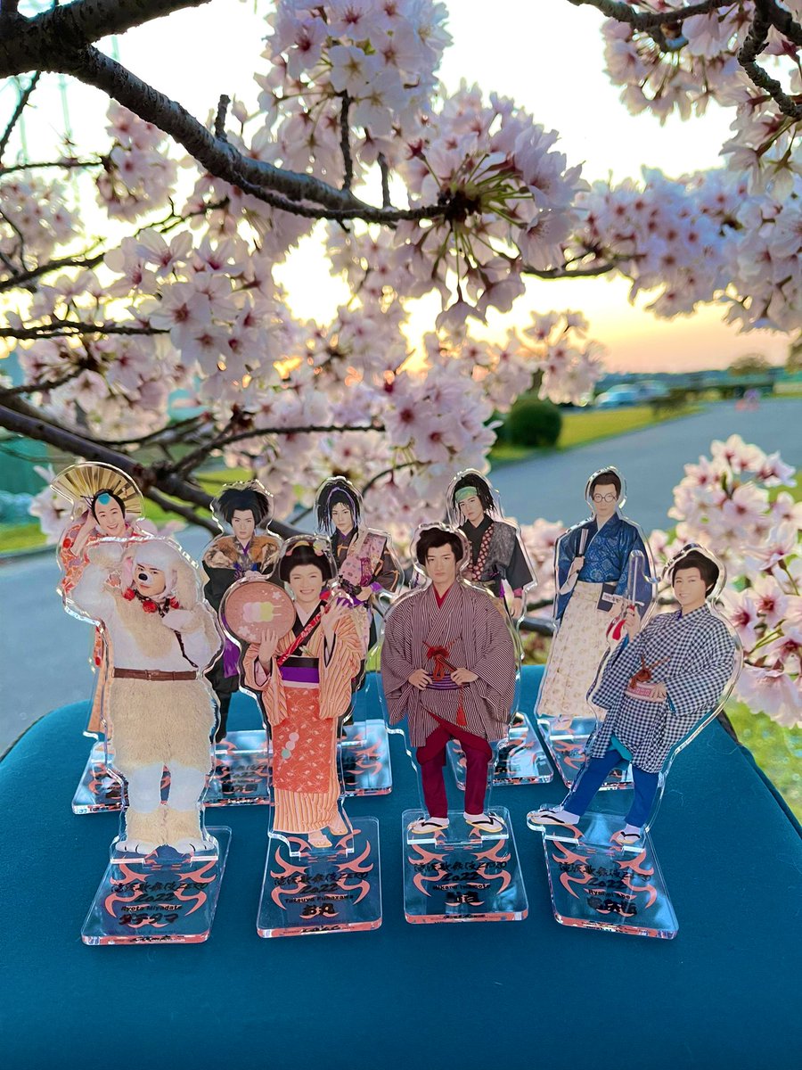 girlymjjunjun's tweet photo. 滝沢歌舞伎ZEROのアクスタで、桜の下の集合写真撮ってきた📸✨
楽しすぎた〜🤣🤣🤣
もっと皆でわちゃわちゃしてお花見やってる感じで撮れば良かったかなー🍡🍶
水曜日に始まるね🥺
千秋楽まで、何事もなく走り切れますように🌸🌸🌸🌸🌸🌸🌸🌸🌸
お祈りっ🙏 https://t.co/UeoYxuAXqU