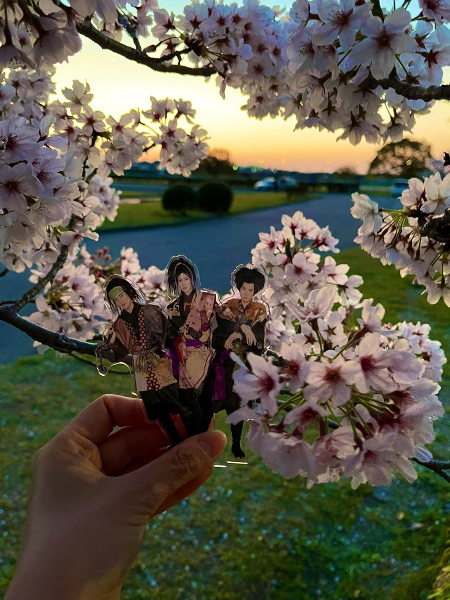 girlymjjunjun's tweet photo. 滝沢歌舞伎ZEROのアクスタで、桜の下の集合写真撮ってきた📸✨
楽しすぎた〜🤣🤣🤣
もっと皆でわちゃわちゃしてお花見やってる感じで撮れば良かったかなー🍡🍶
水曜日に始まるね🥺
千秋楽まで、何事もなく走り切れますように🌸🌸🌸🌸🌸🌸🌸🌸🌸
お祈りっ🙏 https://t.co/UeoYxuAXqU
