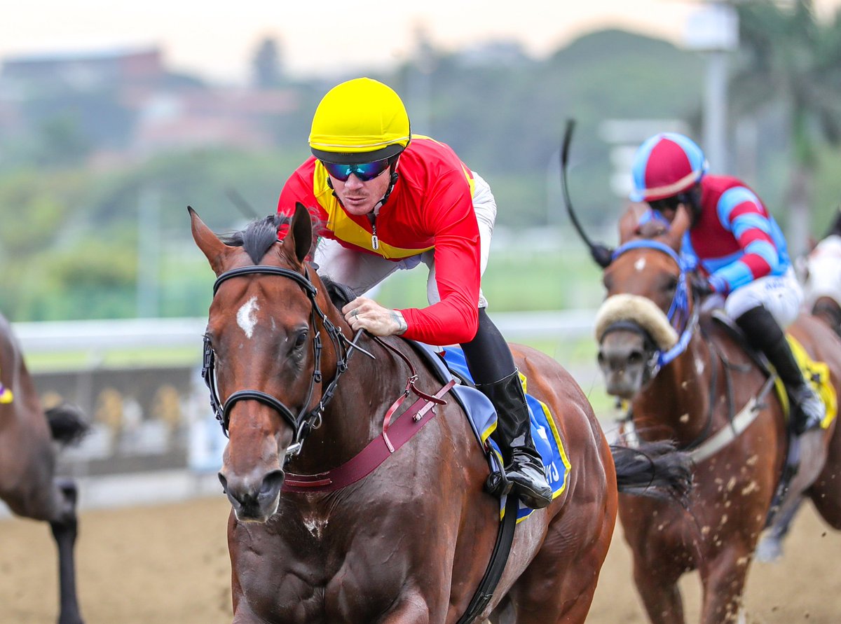 WillowMagic1's tweet photo. Willow Magic in excellent form as Spy Master wins race 3 for Peter Muscutt Racing over a mile, owner Mr Gujadhur for breeders Riethuiskraal Stud. Cup Of Magic also finished third in the same race, finishing strongly.
Images: @CandiesePhoto
@BushHillStud #willowmagic #winners https://t.co/ECn9Ek32Yv