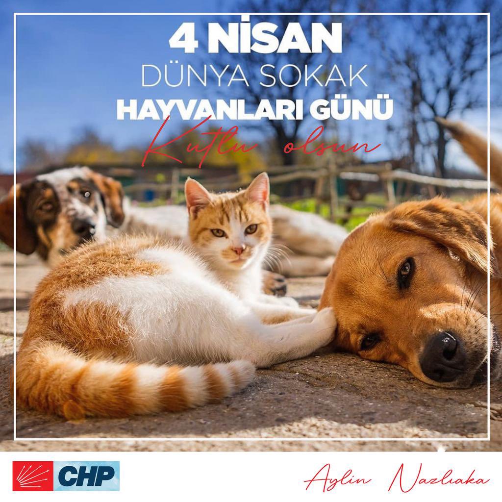#4NisanDünyaSokakHayvanlarıGünü kutlu olsun 🐶🐱
Sokakta yaşayan can dostlarımızın mama ve su sıkıntısı yaşadığını unutmayalım, bir kap su, bir kap mama vermeyi asla ihmal etmeyelim.
Dünya dostlarımızla güzel 🐾