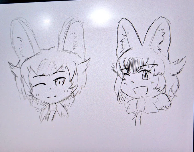 どるちゃとどるちゃ
けもフレのリア友と描いた思い出デジ絵 