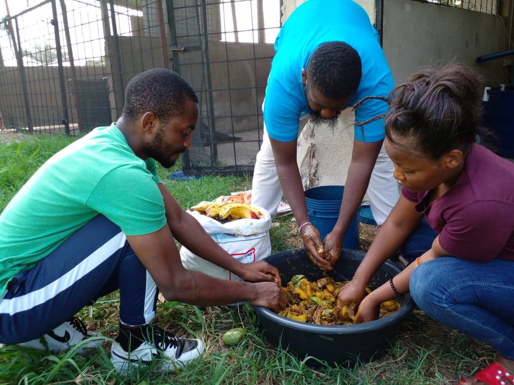 shokojr_'s tweet photo. @moodewji Naitwa Arnold Shoko Mwanzilishi wa Startup inayoitwa @Samaki__Farms  Tumejikita katika uzalishaji wa virutubisho mbadala vya protein (alternative protein ingredients)kwa ajili ya chakula cha samaki kwa sasa tunatumia uchafu ili kupata bidhaa zetu. Tafadhali Retweet #MoGifts2022 https://t.co/OwL6hIhwtt