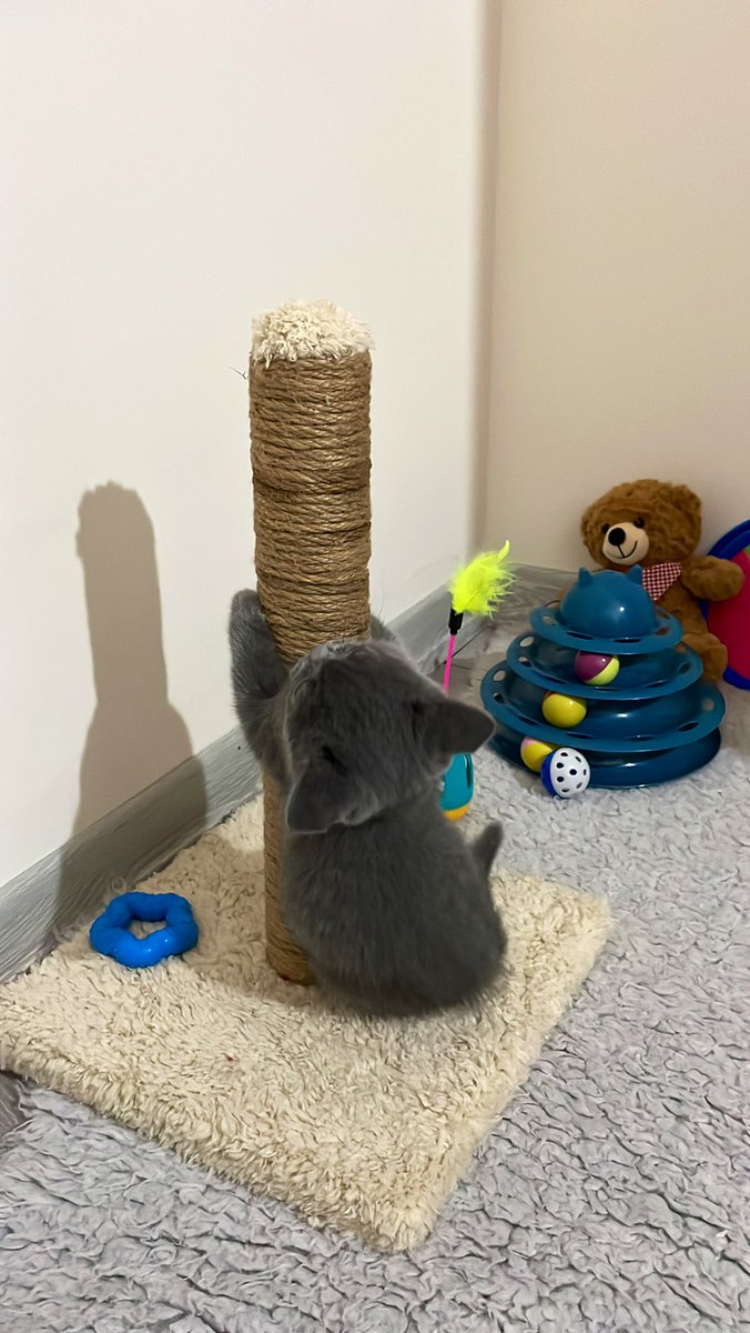 oyun zamanı 🤗💙