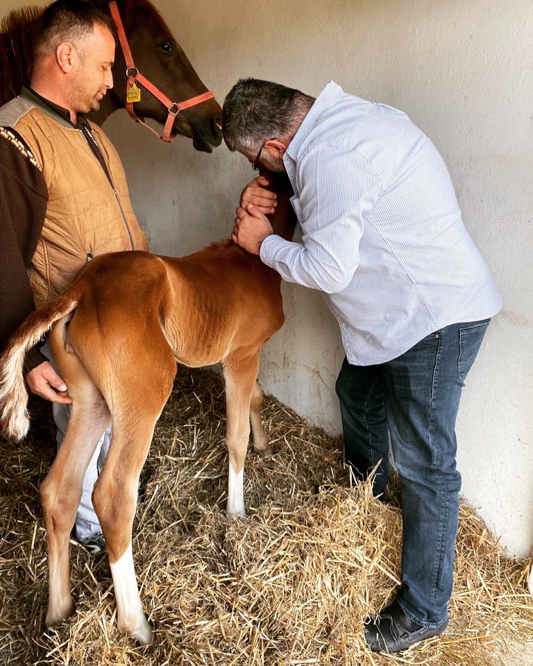 buraktinaz's tweet photo. #altaha vs #ateskusu filly💕 https://t.co/YUl70I4VuE