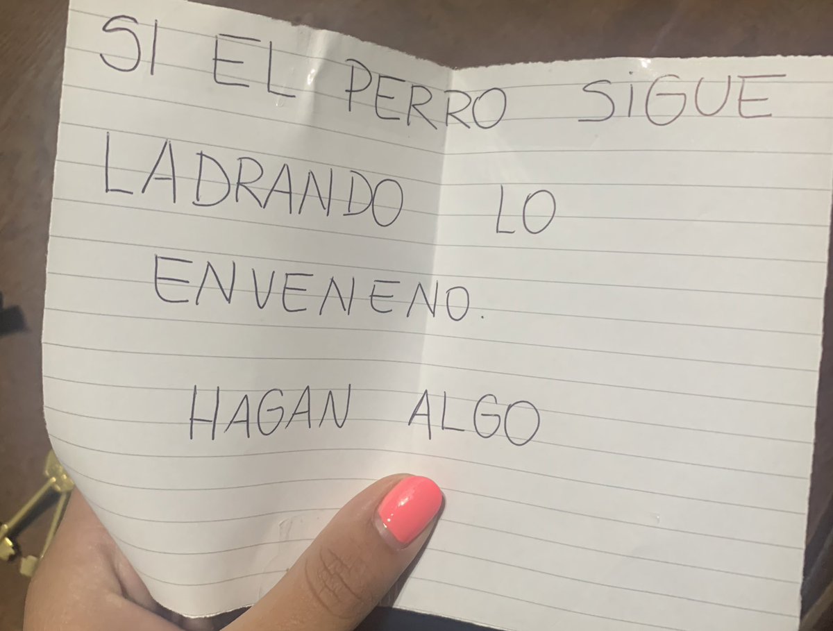 _____gbbb's tweet photo. buen día para todos menos para mi perra q tiene los días contados https://t.co/N1GxUK91j6