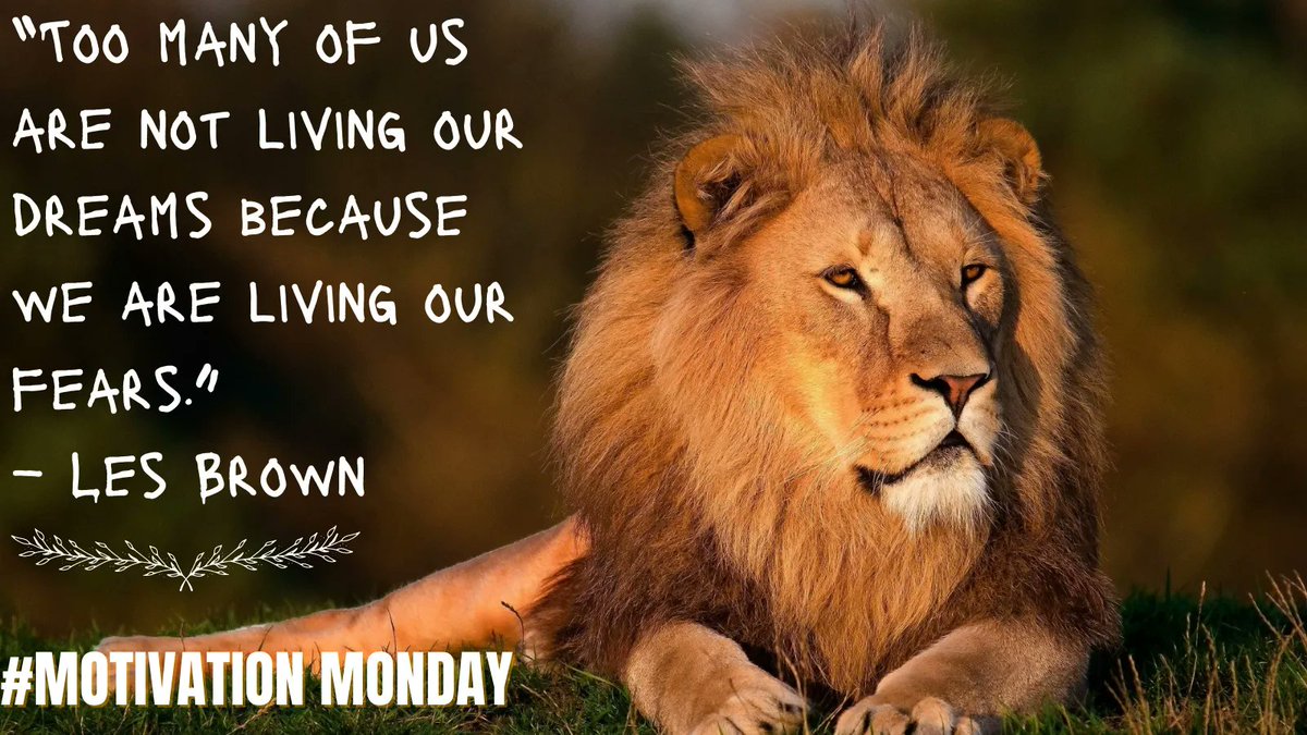 SaintLeoCAS's tweet photo. "Too man of us are not living our dreams because we are living our fears" ~ Les Brown https://t.co/ldRSkCjMw2