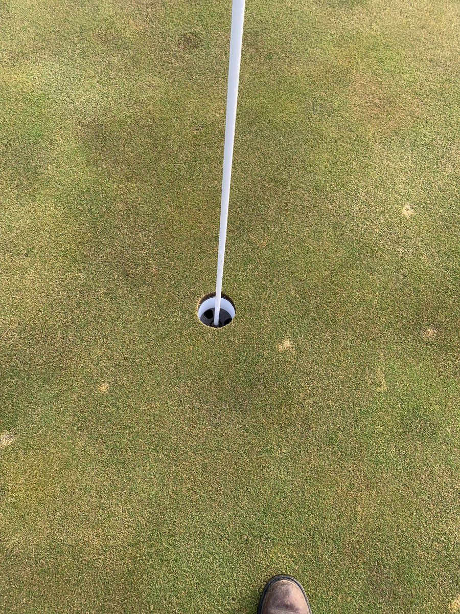 oxley4's tweet photo. So fresh, so clean. New everwhite cups from @ParAide, old stick with new #vinylguard, fresh flags from @PrestigeFlag, and a little sunshine got us looking good for the beginning of April. Glad to finally get these out! #letsgo https://t.co/J74bYxQStc