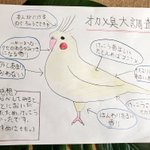 どこに向けての調査発表？!オカメインコ臭の大調査!