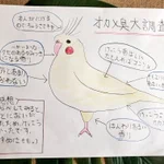 どこに向けての調査発表？!オカメインコ臭の大調査!