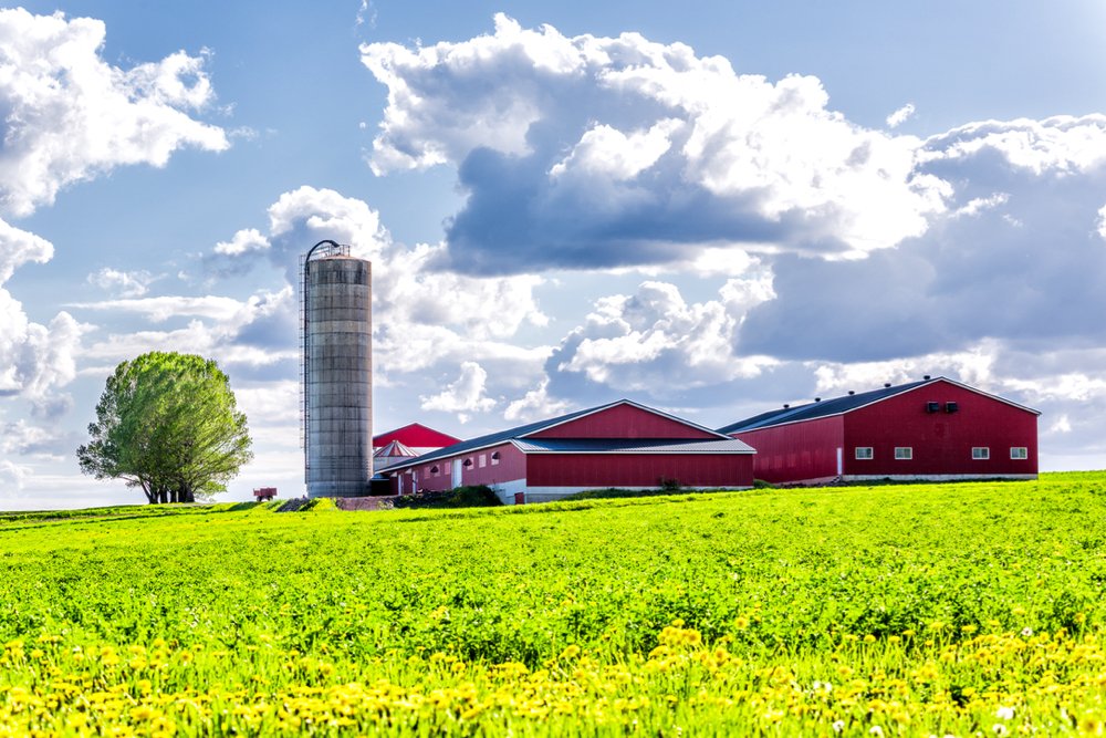 Canuckle #53: FARMS 🧑‍🌾🚜
Only 7% of Canada’s land area is suitable for farming, but there are 200,000 farms across the country! In 2020, roughly 1 out of every 9 Canadian jobs was in the agriculture and agri-food sector. Canada is a major agricultural powerhouse! #thankyoufarmers