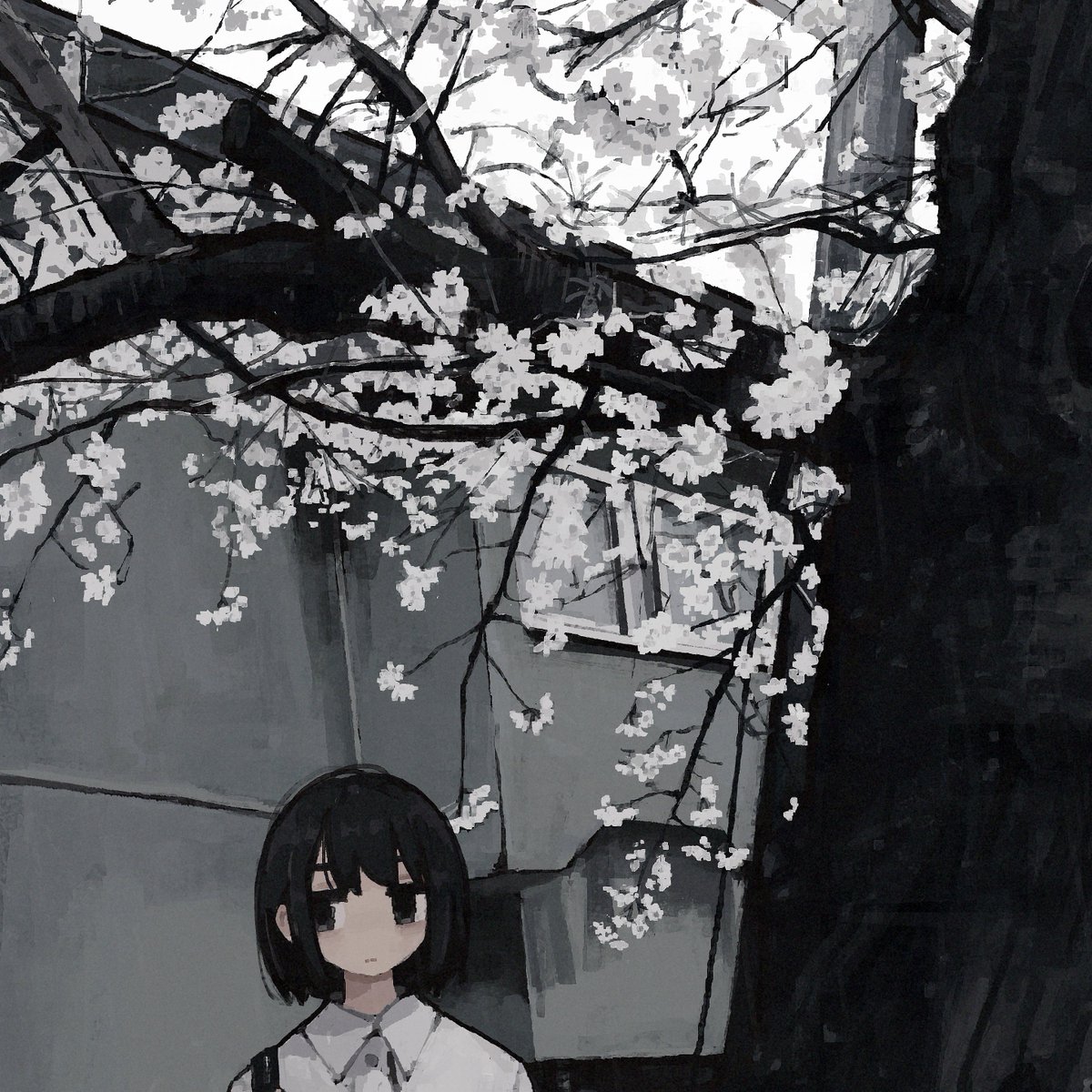 Tweets With Replies By Mikumi Megmii1 Twitter