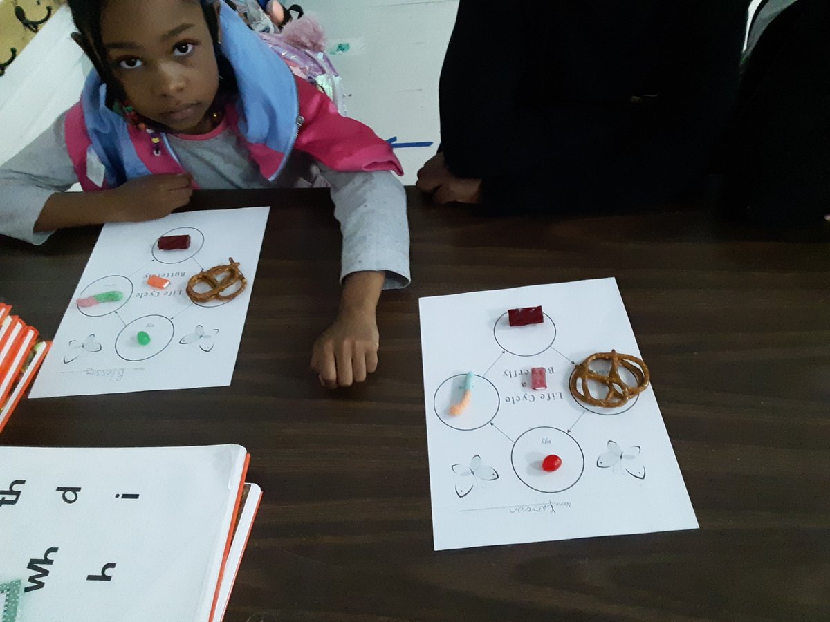 PointNavy's tweet photo. 2nd Graders making the butterfly life cycle using different candies. 

#ECSDFL https://t.co/wcaiCoNXL5